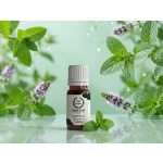 20 ml Nane Yağı