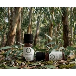 20 ml Okaliptüs Yağı