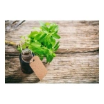 10 ml Fesleğen Yağı